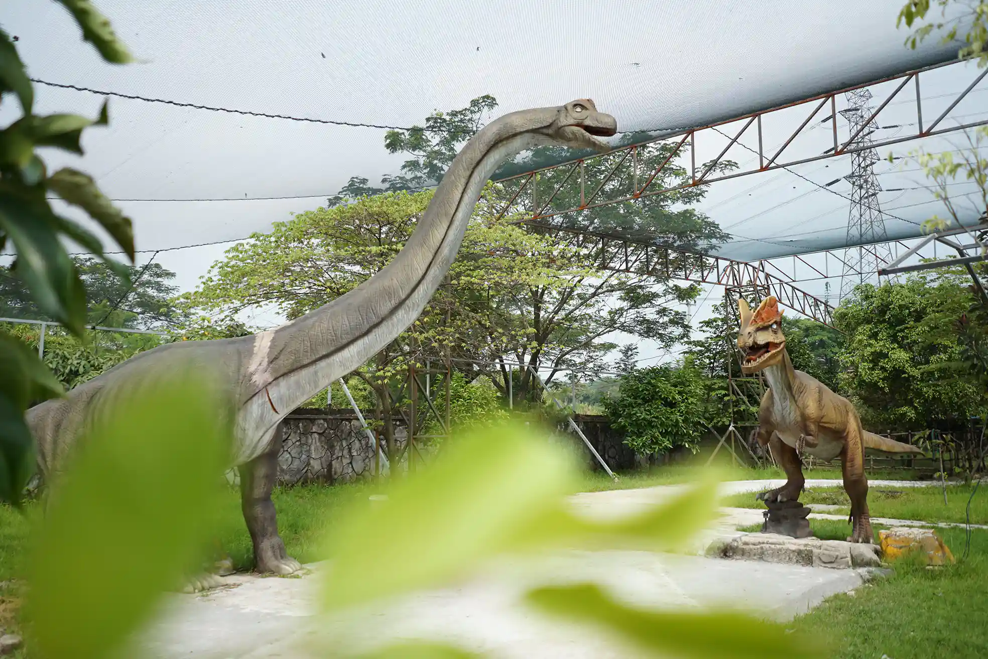 Animal 3