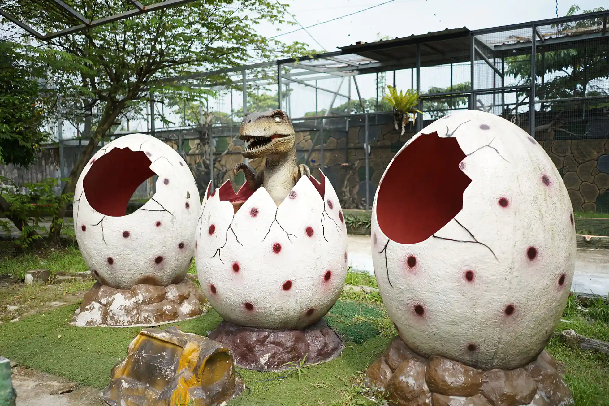 Animal 3